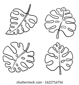 Set of illustrations of monstera leaves. Design element for poster, card, banner, flyer. Vector illustration