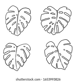 Conjunto de ilustraciones de hojas de monstera. Elemento de diseño para póster, tarjeta, banner, volante. Ilustración del vector