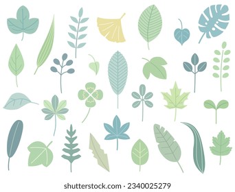 A set of illustrations of natural leaves such as clover and ginkgo.