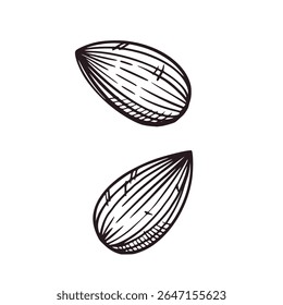 Set illustraties met noten, amandelen. Alle objecten worden met de hand getekend in vectorinkt. De illustratie is geschikt voor de decoratie van voedselverpakkingen, plantaardige melk, bedrukking op stof en papier.