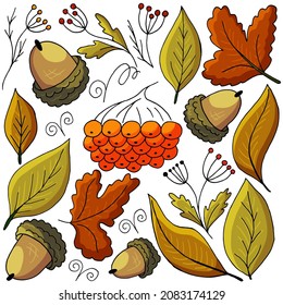 Conjunto de ilustraciones sobre el tema del otoño