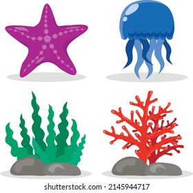 A set of illustrations on the marine theme. Algae, corals, starfish, jellyfish. Without background, isolated.