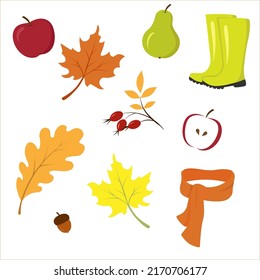 Set of illustrations on the theme of autumn on an isolated background - vector images