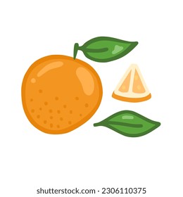 A set of illustrations on the theme of an orange. A whole orange, a piece and a leaf
