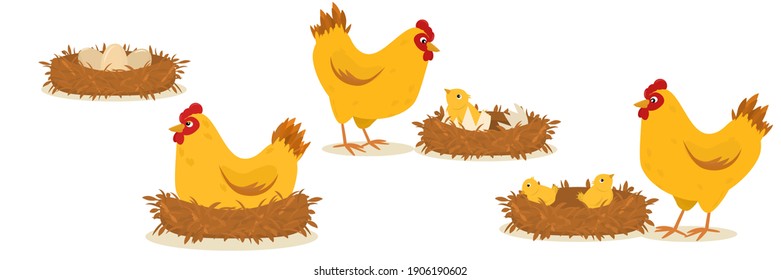 a set of illustrations on the topic of hatching eggs by a chicken. Farm Animals