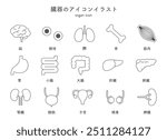 A set of illustrations of organs with a simple design.This word means organ icon illustration set in Japanese.