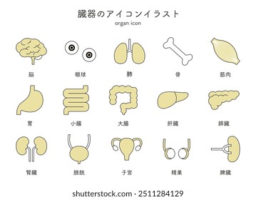 A set of illustrations of organs with a simple design.This word means organ icon illustration set in Japanese.
