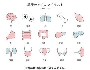 A set of illustrations of organs with a simple design.This word means organ icon illustration set in Japanese.