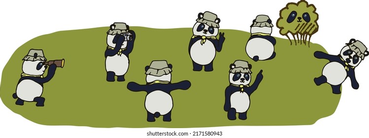 A set of illustrations of pandas in different poses with a stroke. Animal, panda explorer, hiding in the bushes, eps ready for use. For your design