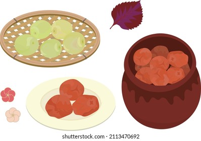 A set of illustrations of pickled plums in a container and plums in a basket.