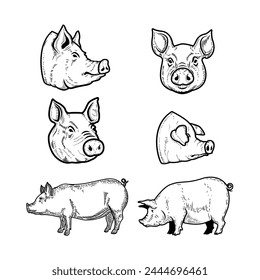 Set of illustrations of a pig isolated on white background. Design element for poster, menu ,card.