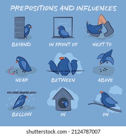 set of illustrations of pigeons and english words