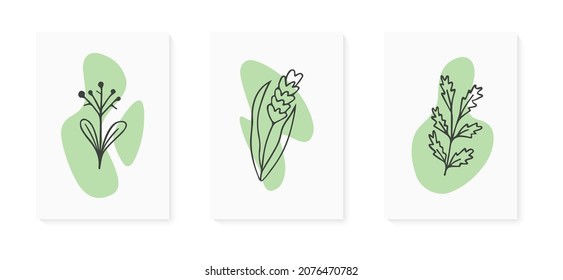 Set of illustrations of plants. Decorative beauty elegant illustration for design Vector flower Botanical. Black and white and colorful