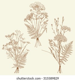 Set of illustrations of plants. Herbarium. Bouquets. Sketch. Freehand drawing.