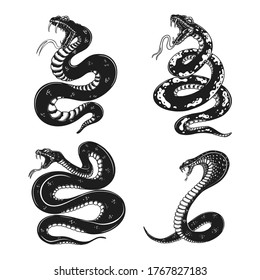 Set of illustrations of poisonous snake in engraving style. Design element for logo, label, sign, poster, t shirt. Vector illustration