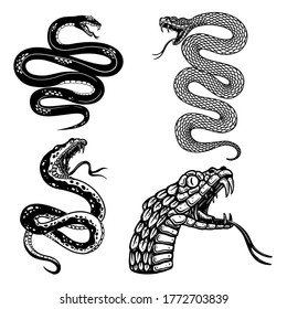 Set of illustrations of poisonous snake in engraving style. Design element for logo, label, sign, poster, t shirt. Vector illustration