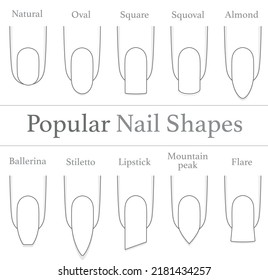 Set Illustrations Popular Nail Shapes Stock Vector (Royalty Free ...