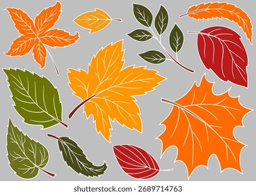 Conjunto de ilustrações para postais, folhetos, banners