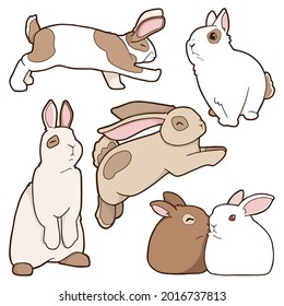 Set of illustrations of a rabbit. Spotted rabbits. White and brown rabbit. Cute animals. 