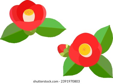 Set of illustrations of red camellia flowers with green leaves