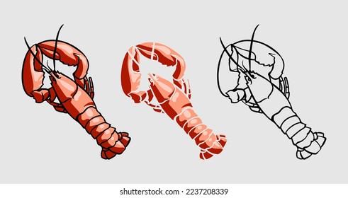 A set of illustrations of red lobster. Graphically drawn lobster. Hand drawn sea animal. Can be used for menu restaurants, fish markets and stores. Vector vintage illustration.