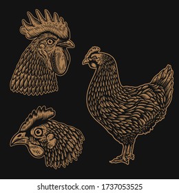 Set of Illustrations of rooster, chicken in engraving style. Design element for logo, label, sign, poster, t shirt. Vector illustration