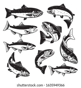 Set of Illustrations of salmon fish in engraving style. Design element for logo, label, sign, emblem, poster. Vector illustration