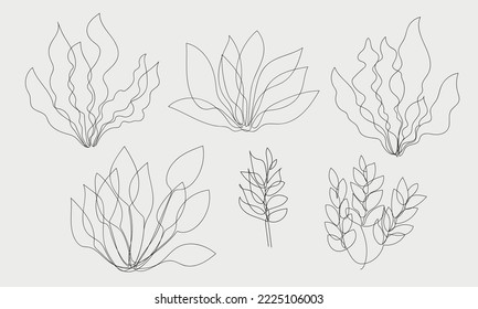 set of illustrations of sea algae drawn in one line. vector illustration in line art style.