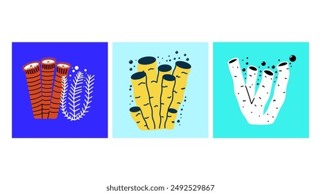 Set illustrations of sea corrals and algae in modern flat design. Postcards with marine life. Vector illustration. 