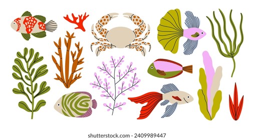 Set of illustrations with sea creatures and plants – crab, corals and exotic fish. Underwater and sea life concept. Hand draw vector illustrations isolated on white background.