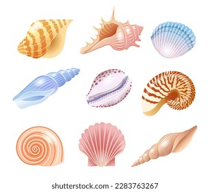 Set of illustrations of sea shells of different kinds in delicate shades