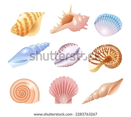 Set of illustrations of sea shells of different kinds in delicate shades