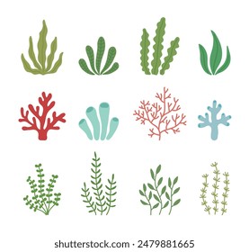 A set of illustrations of seaweed, a marine plant under the sea.