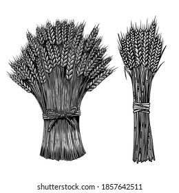 Set of Illustrations of sheaf of wheat in engraving style. Design element for poster, card, banner, sign. Vector illustration