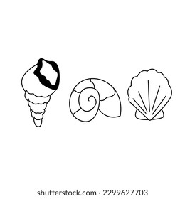 Zeichensatz Muschel , Muschel . Schwarz-Weiß-Illustration einer Muschel. Symbol