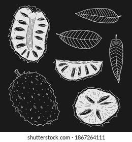 Un conjunto de ilustraciones de frutos de arbustos en diferentes tipos y hojas del árbol de arbustos. Los dibujos de contorno blanco están aislados en un fondo negro. Estilo Doodle.