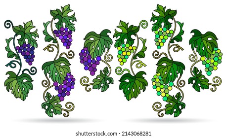 A set of illustrations in the style of stained glass with grape vines isolated on a white background