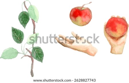 A set of illustrations that hands and apples.