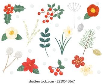 A set of illustrations that image winter plants.