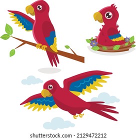 A set of illustrations in three phases: a chick in a nest, a young one on a branch and an adult flying red parrot.