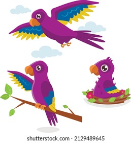 A set of illustrations in three phases: a chick in a nest, a young one on a branch and an adult flying purple parrot.