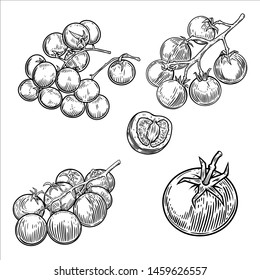 Set of illustrations of tomatoes isolated on white background. Design element for poster, card, banner, sign, menu. Vector illustration