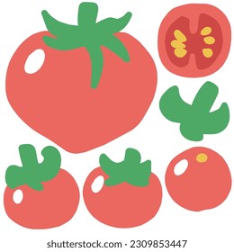 Set of illustrations of tomatoes and mini-tomatoes, including their stems and cross-sections