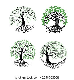 A set of illustrations of a tree with roots and green foliage. Abstract tree icon on a white background. Round logo of a tree with a rhizome.