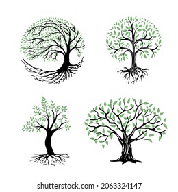 A set of illustrations of a tree with roots and green foliage. Abstract tree icon on a white background. Round logo of a tree with a rhizome.