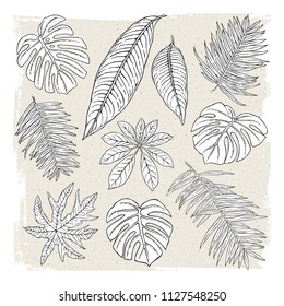 Set of illustrations of tropical plants. Freehand drawing.  Can be used for scrapbook, postcards, print, etc.