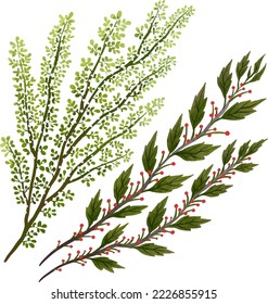 set of illustrations two Christmas twigs one Christmas tree with red berries the second with leaves and a red ribbon for Christmas
