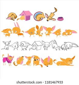 Set of illustrations, in vector, home pet, for design