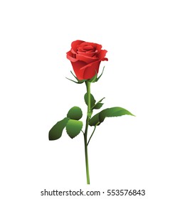 A set of illustrations - vector icons flowers. Element 6 red rose.