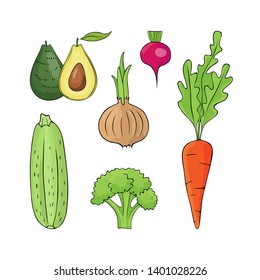 
set of illustrations of vegetables - avocado, onion, radish, carrot, broccoli, zucchini